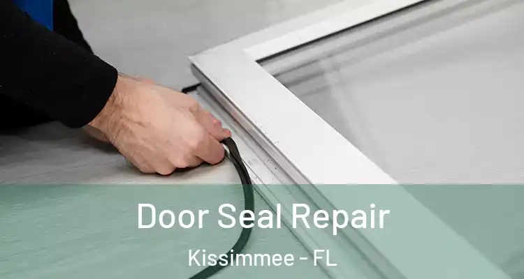  Door Seal Repair Kissimmee - FL
