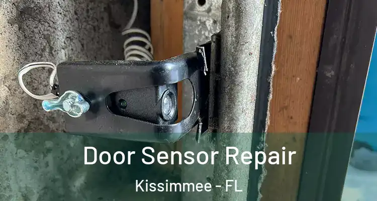  Door Sensor Repair Kissimmee - FL