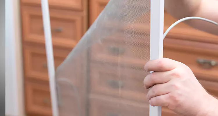 Privacy Mesh Screen Door Installation in Kissimmee, FL