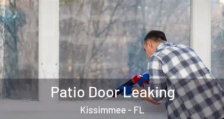 Patio Door Leaking Kissimmee - FL