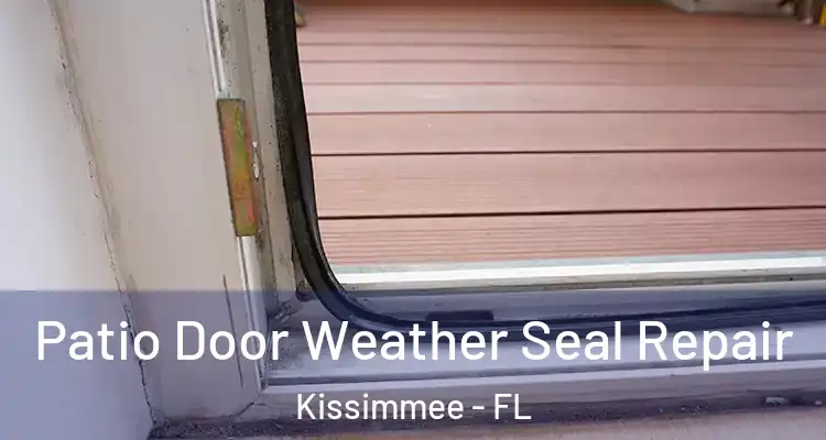  Patio Door Weather Seal Repair Kissimmee - FL
