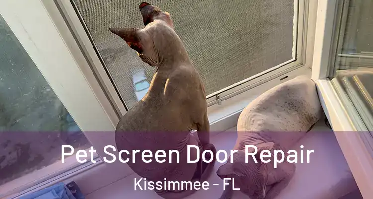  Pet Screen Door Repair Kissimmee - FL