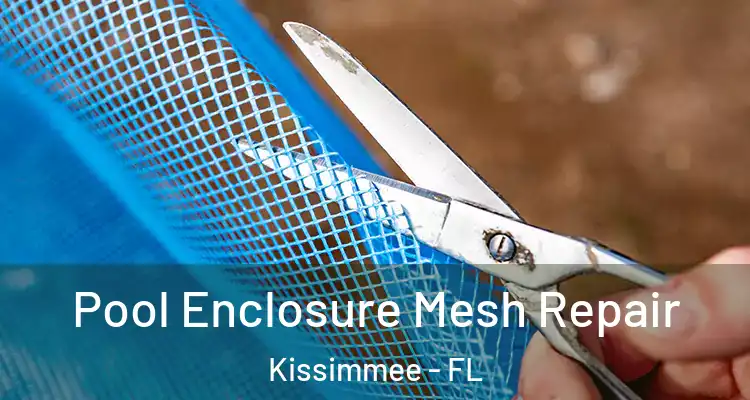  Pool Enclosure Mesh Repair Kissimmee - FL