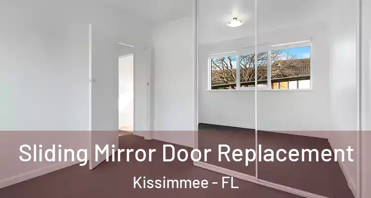  Sliding Mirror Door Replacement Kissimmee - FL