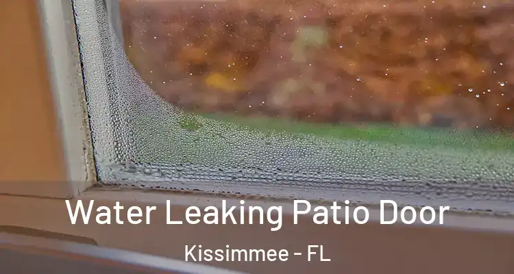  Water Leaking Patio Door Kissimmee - FL